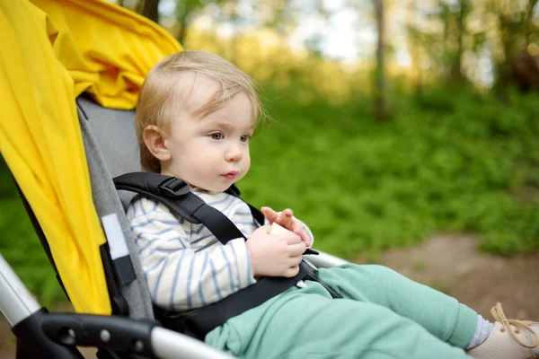 Sweet Toddler Boy Sitting Stroller Outdoors Little Child Pram Infant — Stock Photo, Image