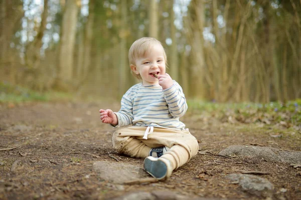 Roztomilý Batole Chlapec Baví Během Pěší Túry Lese Krásné Slunné — Stock fotografie