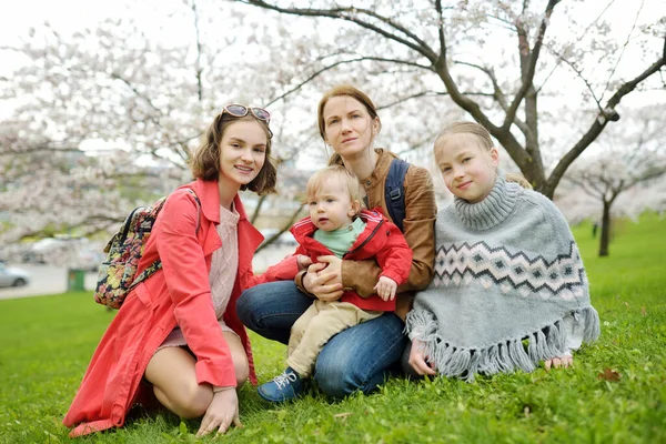 在美丽的春日 年轻的母亲和三个孩子在盛开的樱桃园里玩得很开心 一家四口在户外 探索自然的儿童 — 图库照片