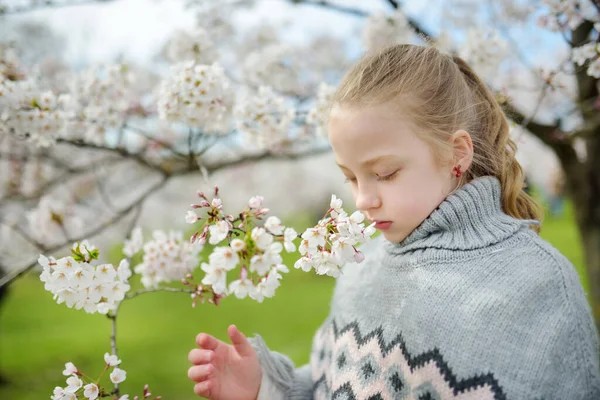 Söt Ung Flicka Blommande Körsbärsträdgård Vackra Vårdagen Söta Barn Plocka — Stockfoto