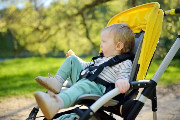 Lieve Peuter Jongen Zit Een Kinderwagen Buiten Klein Kind Kinderwagen — Stockfoto