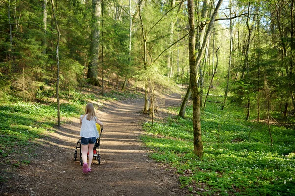 Oudere Zus Loopt Een Park Met Peuter Broer Kinderwagen Meisje — Stockfoto