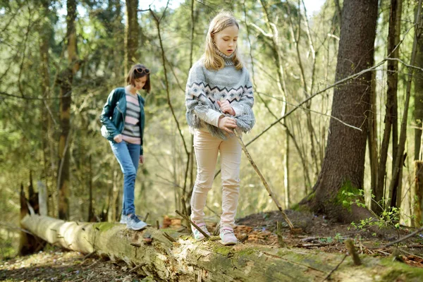 Adoráveis Jovens Irmãs Divertindo Durante Uma Caminhada Floresta Belo Dia — Fotografia de Stock