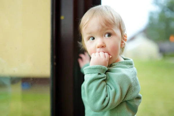 Liebenswerter Kleiner Junge Der Fenster Steht Kleinkind Lernt Ohne Fremde — Stockfoto