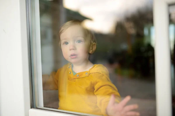 Adorable Petit Garçon Regardant Par Fenêtre Maison Petit Enfant Regardant — Photo