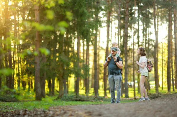 若い父親と彼の2人の子供が森の中をハイキングします 晴れた春の日にウォーキングトレイルで楽しんでいる3人の家族 子供たちと自然を探る — ストック写真