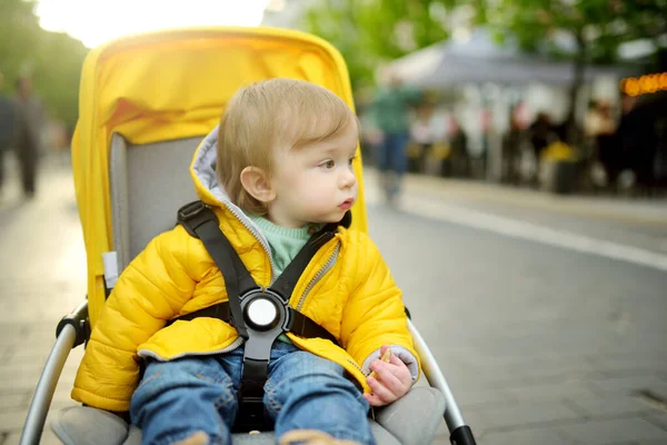 Süßer Kleiner Junge Der Kinderwagen Freien Sitzt Kleines Kind Kinderwagen — Stockfoto