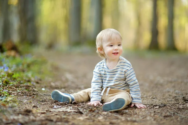 Adorable Toddler Boy Having Fun Hike Woods Beautiful Sunny Spring — Stock Photo, Image