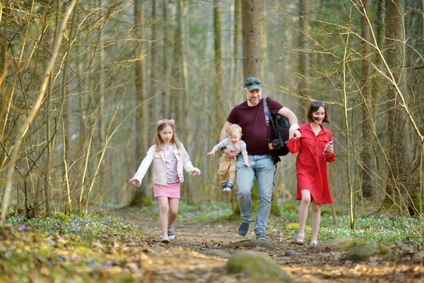 Unge Far Och Hans Tre Barn Vandrar Skogen Familj Fyra — Stockfoto