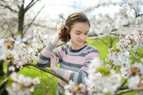 Adorable Young Girl Blooming Cherry Tree Garden Beautiful Spring Day — Stock Photo, Image