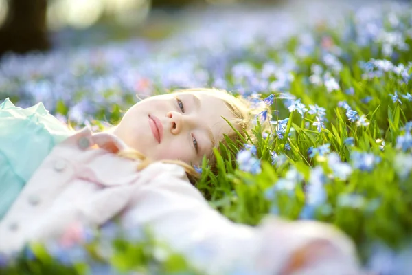 春に公園に咲くシラの花を愛でるかわいい少女 晴れた日の美しい青い春の花 — ストック写真