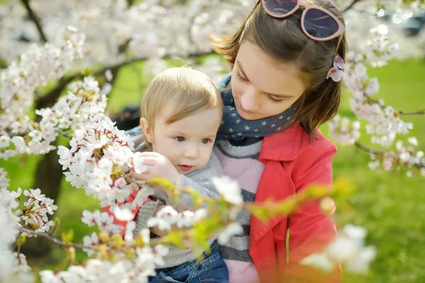 Mooi Tienermeisje Haar Peuter Broer Hebben Plezier Bloeiende Kersenboomtuin Mooie — Stockfoto