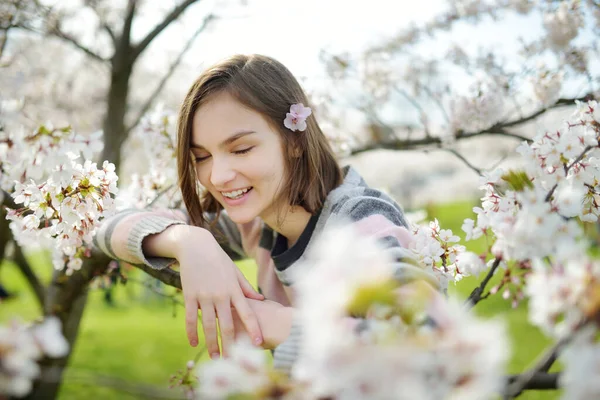 Adorable Young Girl Blooming Cherry Tree Garden Beautiful Spring Day — Stock Photo, Image