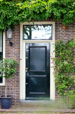 Hollanda, Hollanda 'da tipik bir Amsterdam caddesinde çiçek saksısı ve yeşil bitkilerle süslenmiş bir evin verandası.