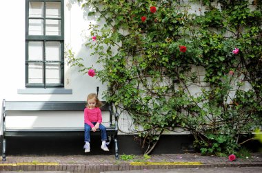 Hollanda, Hollanda 'da tipik bir Amsterdam caddesindeki bir evin yanında çiçek açan dev gül çalılarının yanında oturan sevimli küçük kız.