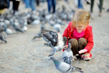 Yaz günü Amsterdam 'da Baraj Meydanı' nda kuşları besleyen ve kovalayan şirin küçük bir kız. Çocuk dışarıda güvercin ve serçeleri besliyor..