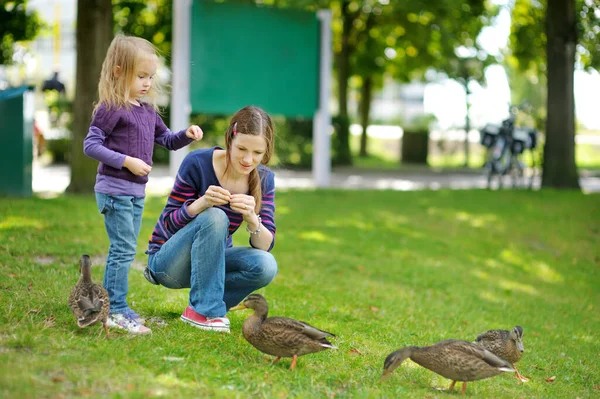 Genç Anne Küçük Kızı Yaz Günü Ördekleri Besliyor Çocuk Dışarıda — Stok fotoğraf
