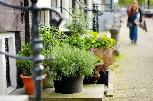 Porche Una Casa Decorada Con Macetas Plantas Verdes Una Calle — Foto de Stock