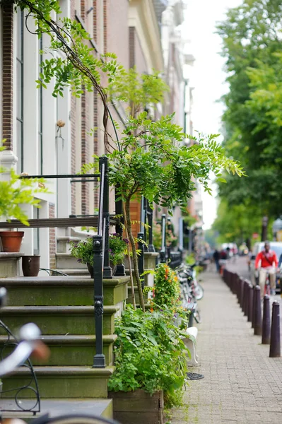 Veranda Egy Ház Díszített Virágcserepek Zöld Növények Egy Tipikus Amszterdami — Stock Fotó
