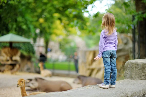 Schattig Klein Meisje Dat Dieren Kijkt Dierentuin Warme Zonnige Zomerdag — Stockfoto