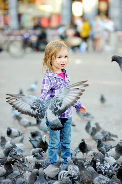 Linda Niña Alimentando Persiguiendo Aves Plaza Dam Amsterdam Día Verano —  Fotos de Stock