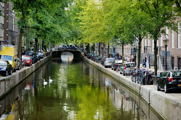 阿姆斯特丹 2011年8月 荷兰阿姆斯特丹著名运河 汽车和自行车停在路基上 荷兰阿姆斯特丹典型的街道景观 — 图库照片
