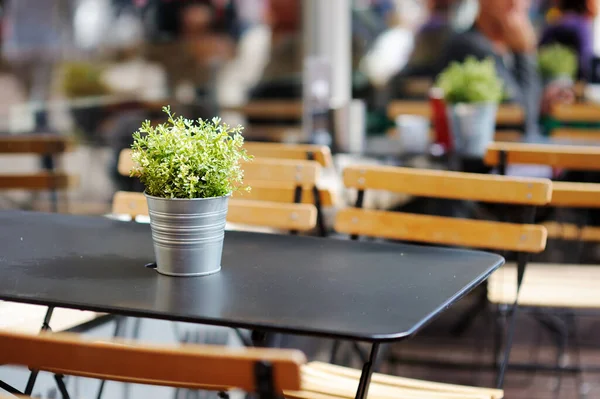 Mesa Restaurante Vacía Decorada Con Flores Una Calle Típica Ámsterdam — Foto de Stock
