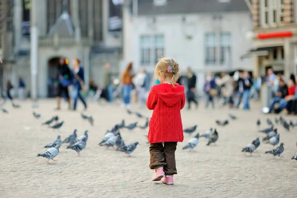 Schattig Meisje Dat Zomerdag Vogels Voedt Achtervolgt Dam Amsterdam Voeren — Stockfoto