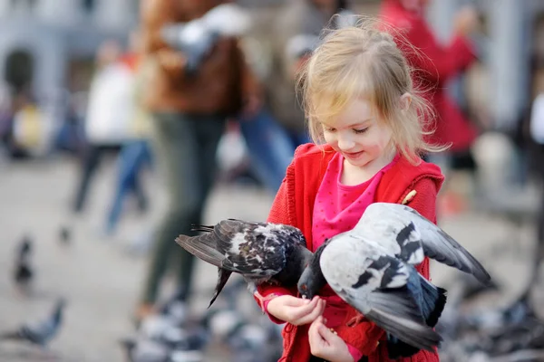 Menina Bonito Alimentando Perseguindo Pássaros Praça Dam Amsterdã Dia Verão — Fotografia de Stock