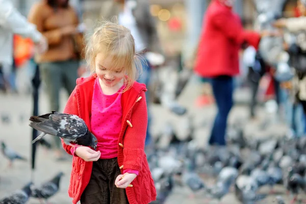 Schattig Meisje Dat Zomerdag Vogels Voedt Achtervolgt Dam Amsterdam Voeren — Stockfoto