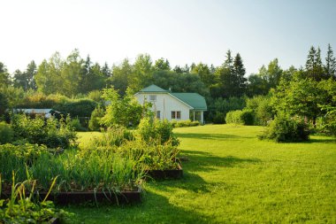 Ağaçlarla dolu güzel yeşil bir bahçe, dekoratif bitkiler ve arka planda büyük beyaz bir ev ile çiçek açan çiçekler. Arka bahçede güzel bir yaz günü.