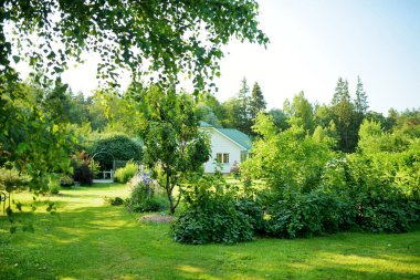 Ağaçlarla dolu güzel yeşil bir bahçe, dekoratif bitkiler ve arka planda büyük beyaz bir ev ile çiçek açan çiçekler. Arka bahçede güzel bir yaz günü.