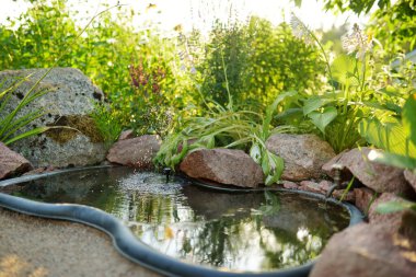 Small artificial pond on sunny summer day in the garden. Beautifully designed garden pond surrounded with various plants and flowers.
