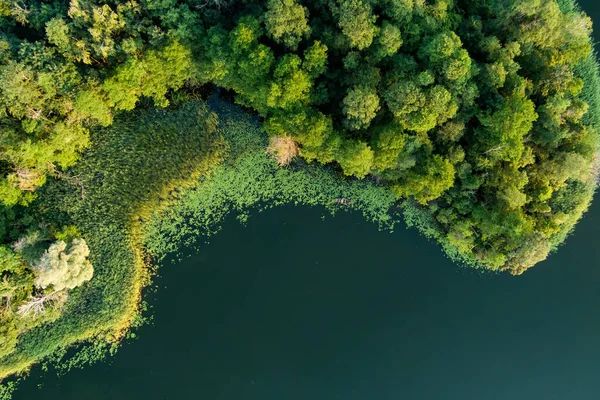 Aerial View Scenic Rubikiai Lake Located Anyksciai Town Lithuania Beautiful — стоковое фото