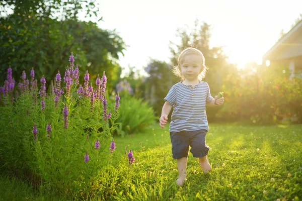 Anak Kecil Yang Lucu Bersenang Senang Luar Pada Hari Musim — Stok Foto