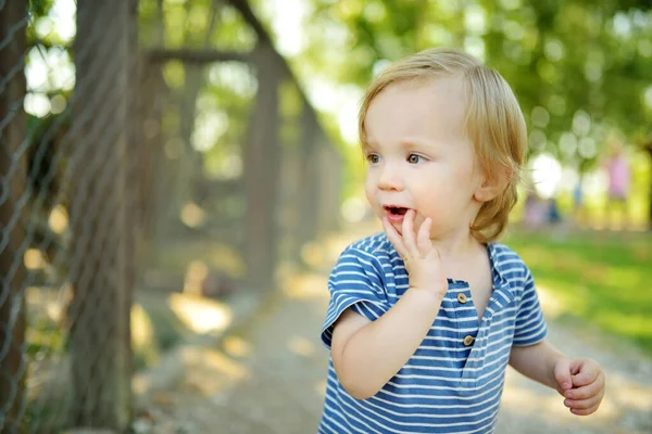 Веселий Маленький Хлопчик Розважається Свіжому Повітрі Сонячний Літній День Дитина — стокове фото
