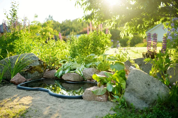Small Artificial Pond Sunny Summer Day Garden Beautifully Designed Garden — ストック写真