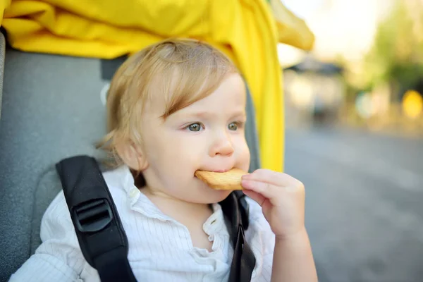 Doux Petit Garçon Assis Dans Une Poussette Extérieur Petit Enfant — Photo