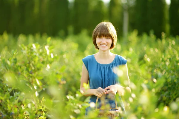 Cute Young Girl Picking Fresh Berries Organic Blueberry Farm Warm — Stockfoto