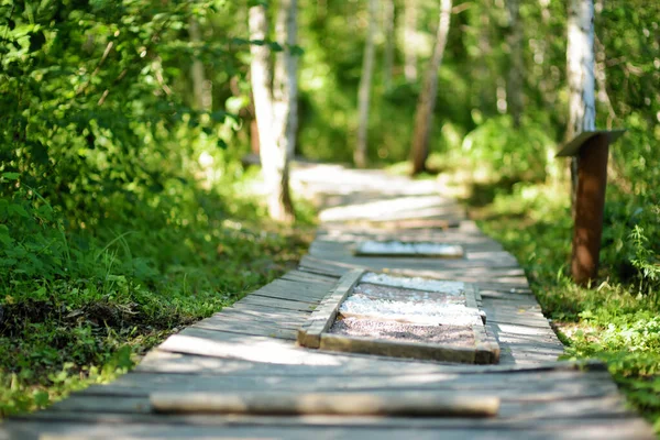 Tactile Path Barefoot Park Created Feel Ground Other Materials Bare — Stok fotoğraf