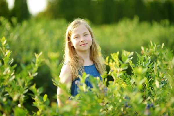 在温暖和阳光明媚的夏日 可爱的小女孩在有机蓝莓农场采摘新鲜的浆果 为孩子们提供新鲜健康的有机食品 夏季的家庭活动 — 图库照片
