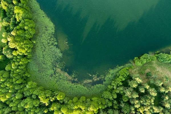Beautiful Top Aerial View Lake Moletai Region Famous Its Lakes — Stock Photo, Image