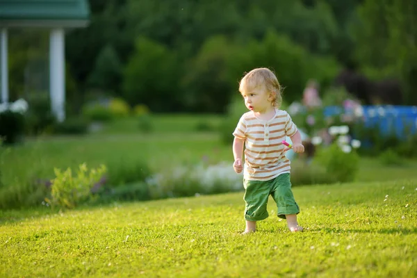 Drôle Tout Petit Garçon Avoir Amusant Extérieur Sur Ensoleillé Jour — Photo