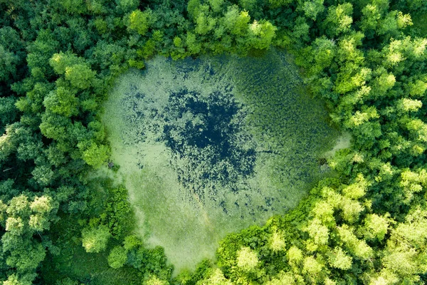 Schöne Luftaufnahme Von Oben Nach Unten Von Einem See Der — Stockfoto