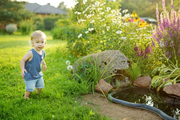 Anak Kecil Yang Lucu Bersenang Senang Taman Kecil Musim Panas — Stok Foto