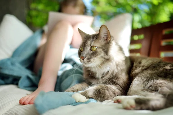 Leuke Grijze Kat Knuffelen Met Jong Meisje Bank Een Gezellig — Stockfoto