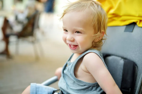 Lieve Peuter Jongen Zit Een Kinderwagen Buiten Klein Kind Kinderwagen — Stockfoto