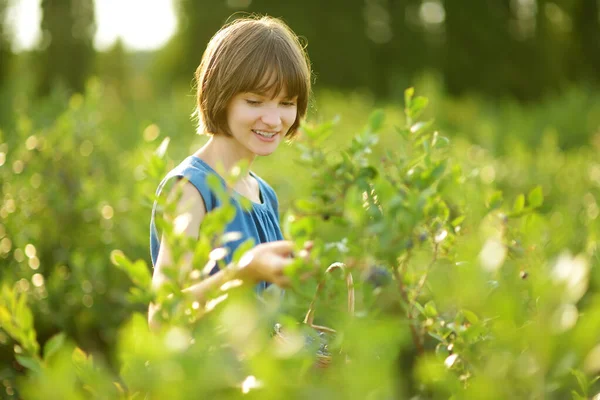 Cute Young Girl Picking Fresh Berries Organic Blueberry Farm Warm — Stockfoto