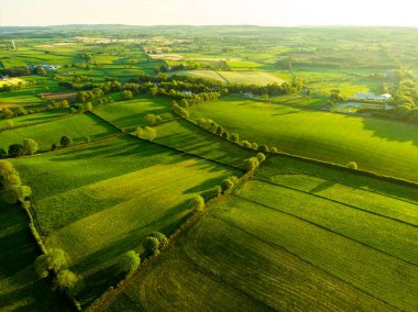 İrlanda'nın uçsuz bucaksız yemyeşil otlaklarının ve tarım arazilerinin havadan görünümü. Zümrüt yeşili alanlar ve çayırları ile güzel İrlandalı kırsal. Kırsal peyzaj.