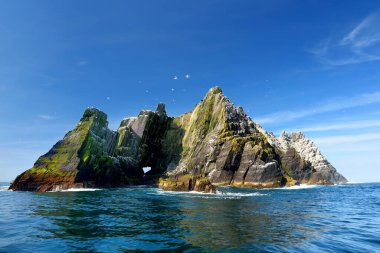 Küçük Skellig Adası, birçok çeşitli deniz kuşları ve dünyanın ikinci büyük gannets kolonisi ev, County Kerry, İrlanda. Kerry rota ünlü İrlanda Ring üzerinde turistik.